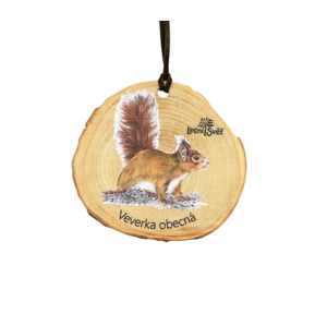 Lesní svět Dřevěná medaile letokruh veverka