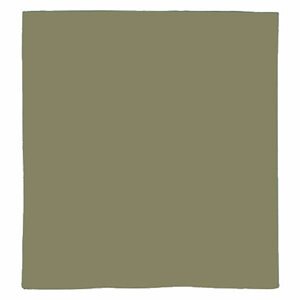 ROTHCO Šátek JUMBO ZELENÝ 68 x 68 cm Barva: Zelená